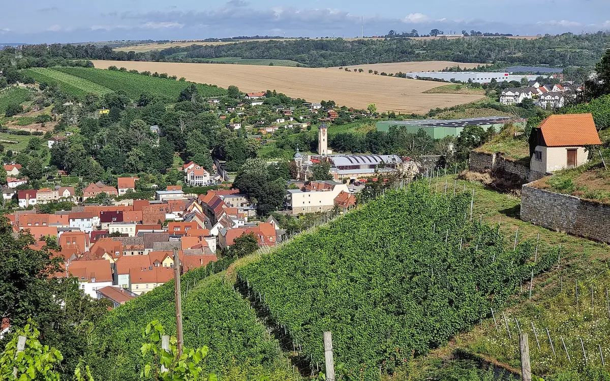 View of Freyburg in the Saale-Unstrut wine region, Saxony-Anhalt