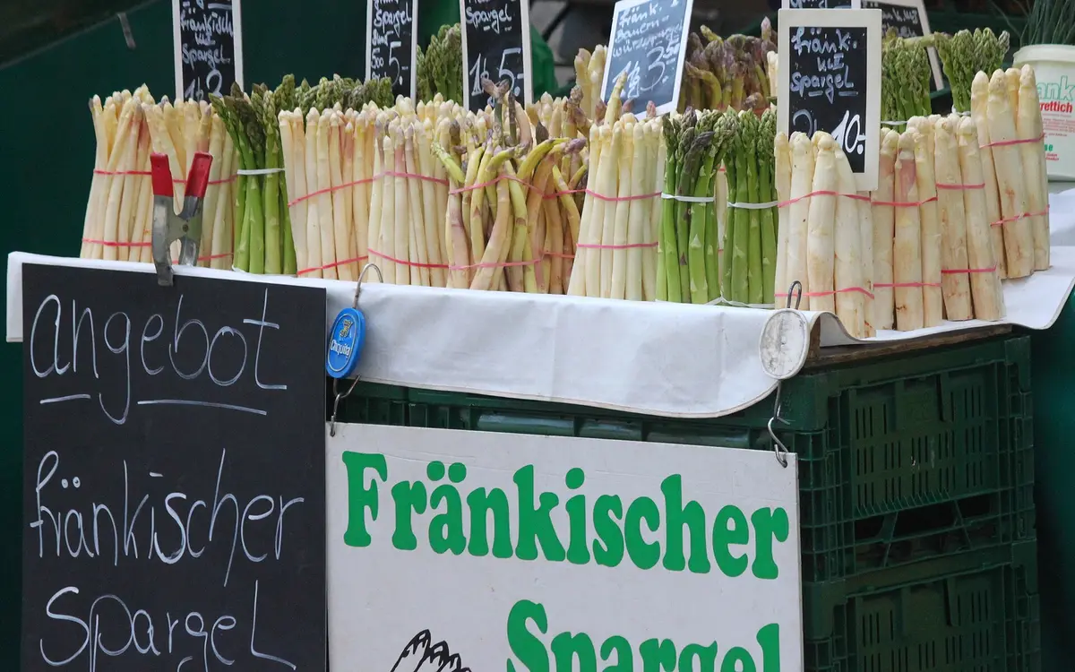 Bundles of white asparagus laid out at a market stand